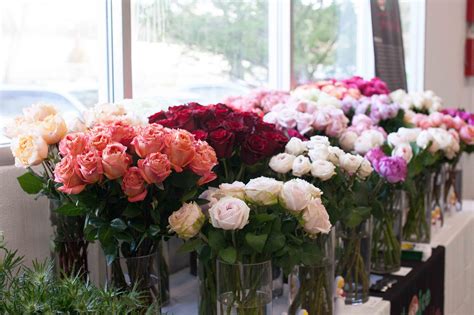 wholesale flowers dc